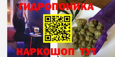 сатива Владимир