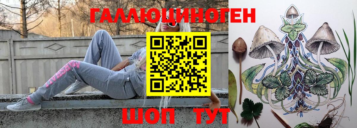 Артём  Галлюциногенные грибы прущие грибы  Вход с VPN 